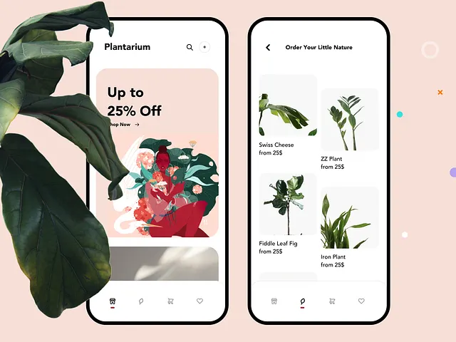 Flowershop App, mobile app UI with illustration